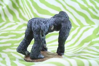 silver back silver back